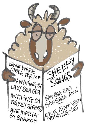 North Ronaldsay singing sheep